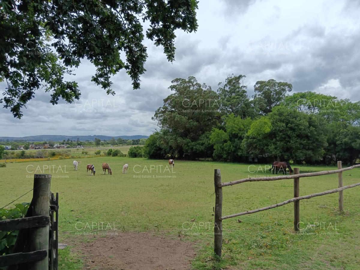 Chacra ID.37396 - CHACRA de 2 HAS.  a 200m de ruta 9 