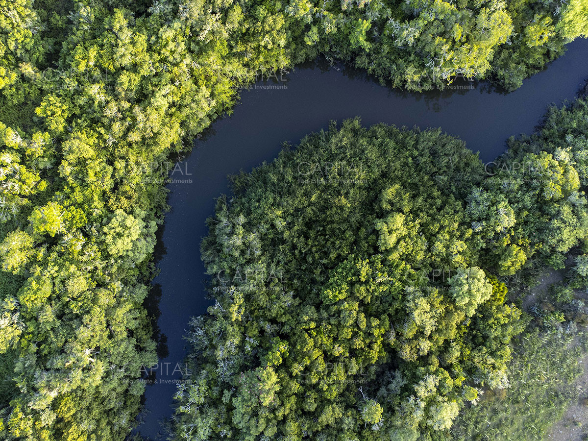 Chacra ID.37799 - CHACRAS Vilaró 