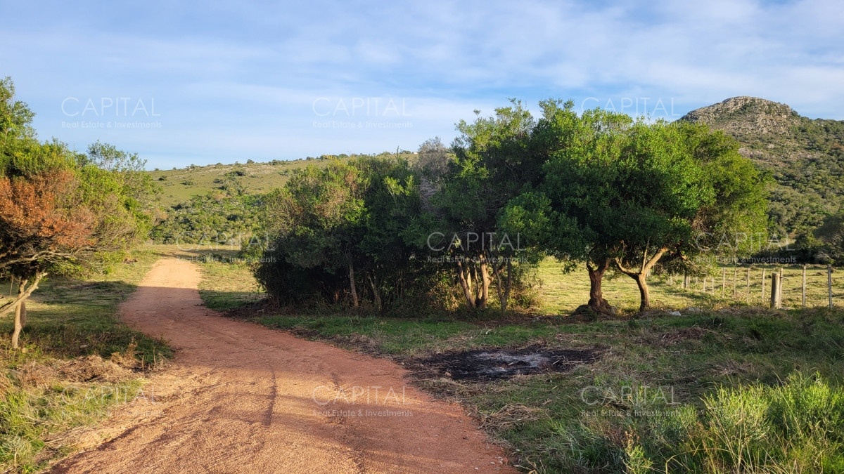 Chacra ID.35105 - Chacra en venta, Sierras de Maldonado - Uruguay