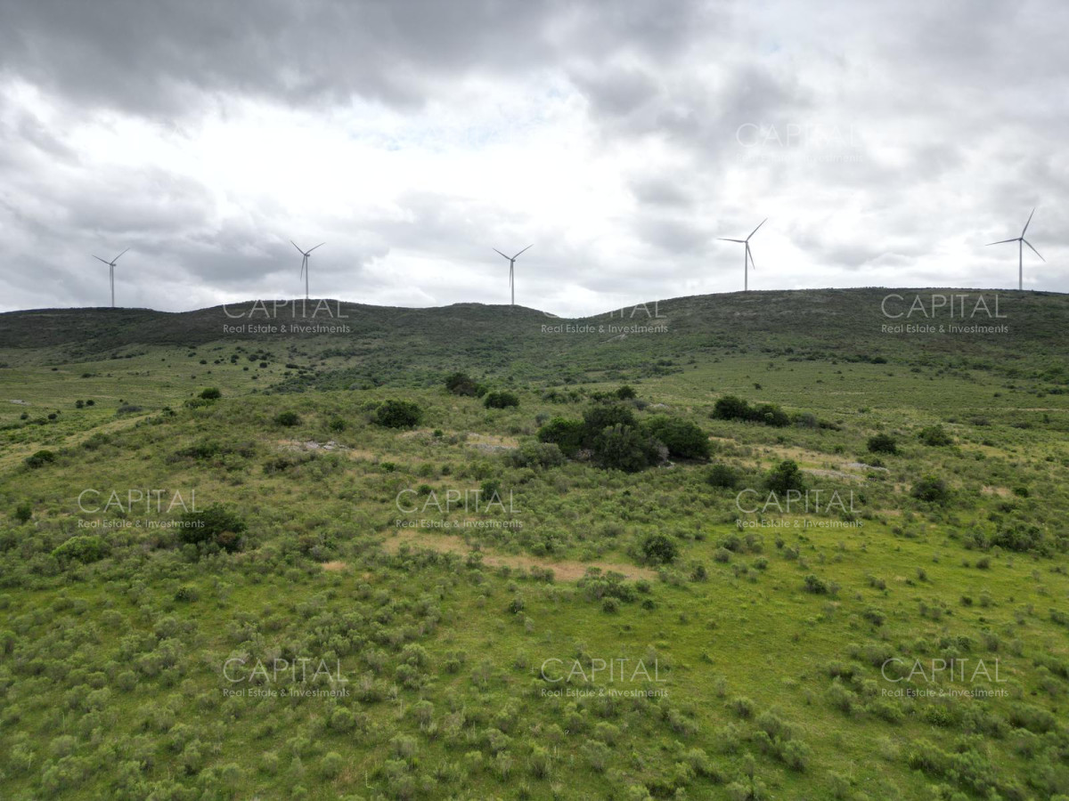 Chacra ID.37213 - Chacras Sierras de caracoles a 30 min de Punta del Este