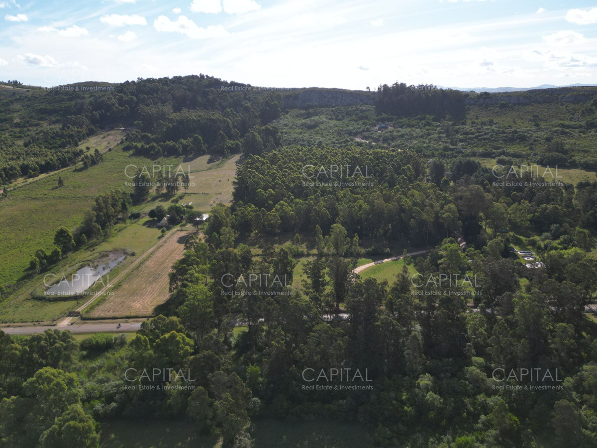 Chacra ID.37467 - Chacra de 5 has en ruta 9 próximo a ruta 12