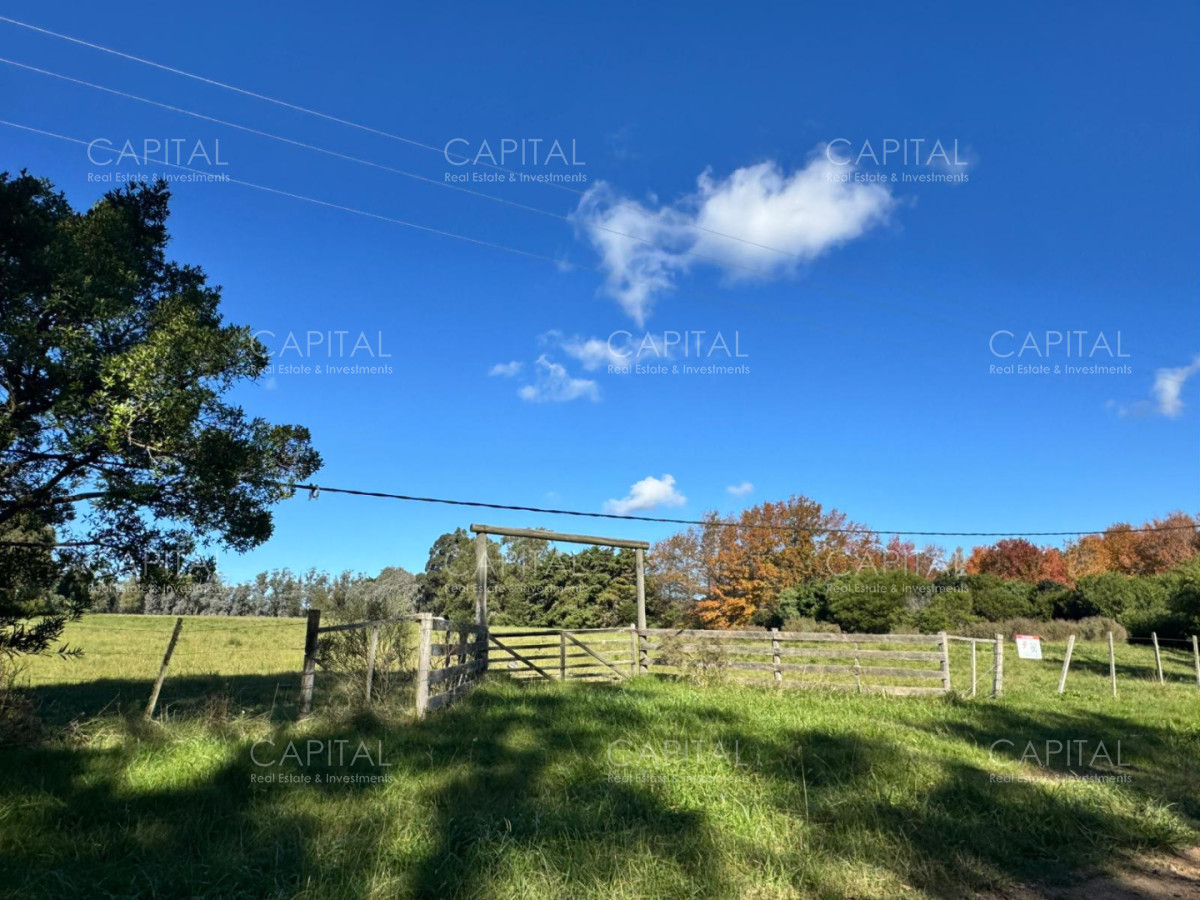 Chacra ID.40177 - Venta Chacra 3 Hectareas en La Barra
