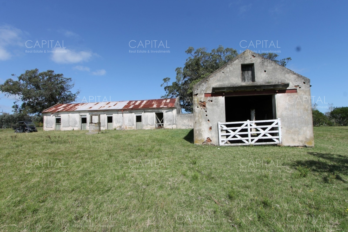 Chacra ID.36637 - Excepcional Chacra 12 HAS en Narbona