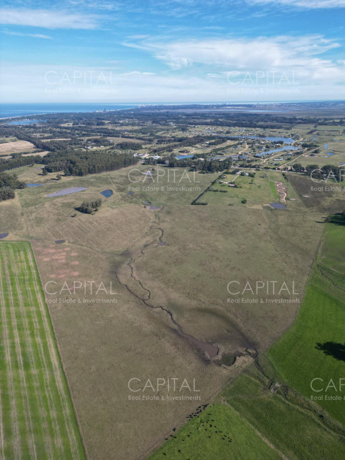 Chacra ID.35457 - Chacra Manantiales Ruta 104 43 hectareas en Venta Frente a MACA Atchugarry Pueblo Mio