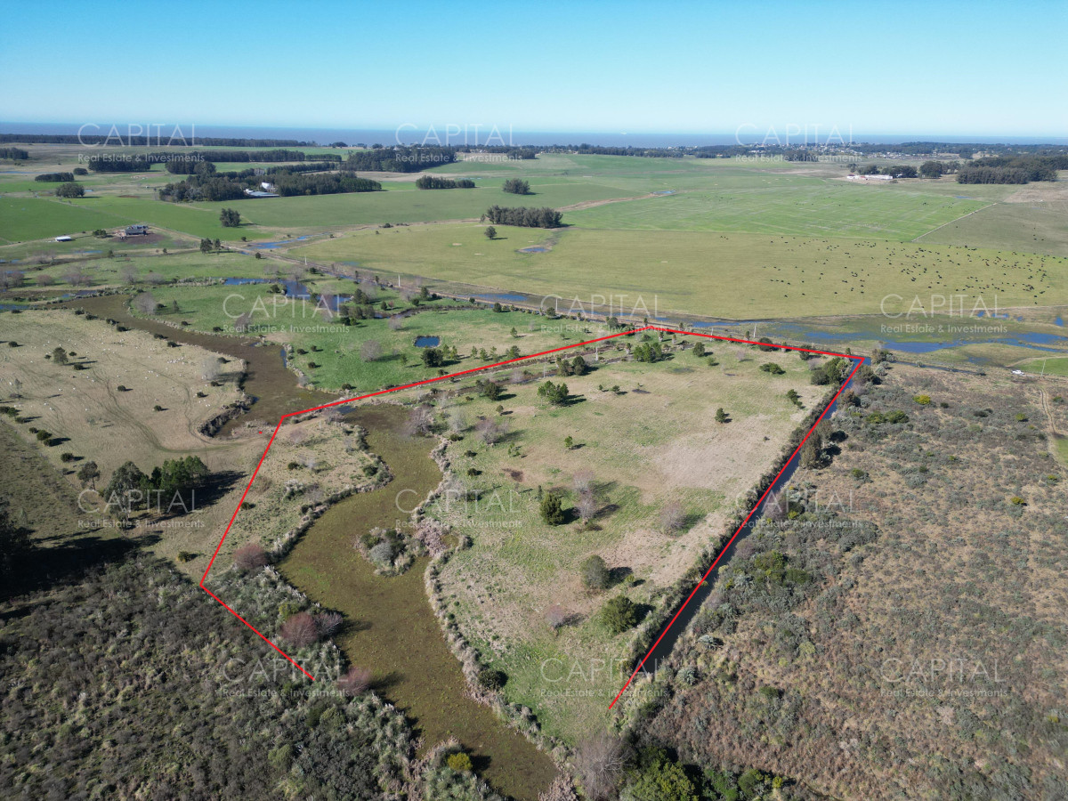 Chacra ID.38847 - Chacra de 5 has a metros de 104 próximo a Pueblo Mío, NARBONA La Plantación