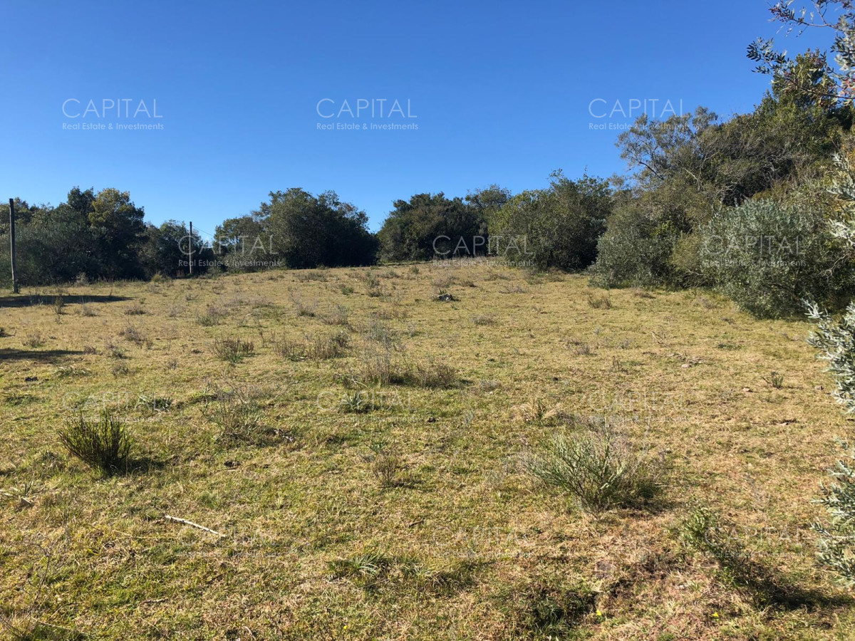 Chacra ID.31247 - Chacra en Ruta 39, en venta