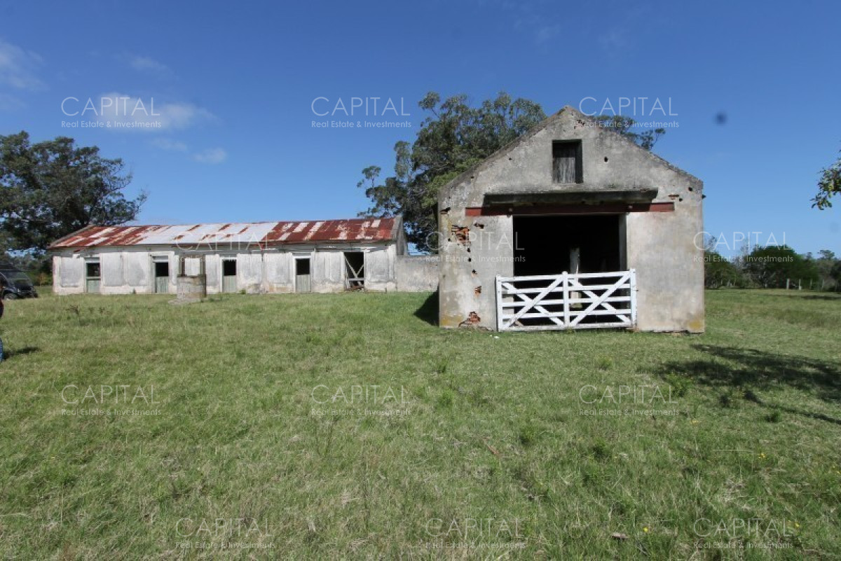 Chacra ID.36637 - Excepcional Chacra 12 HAS en Narbona