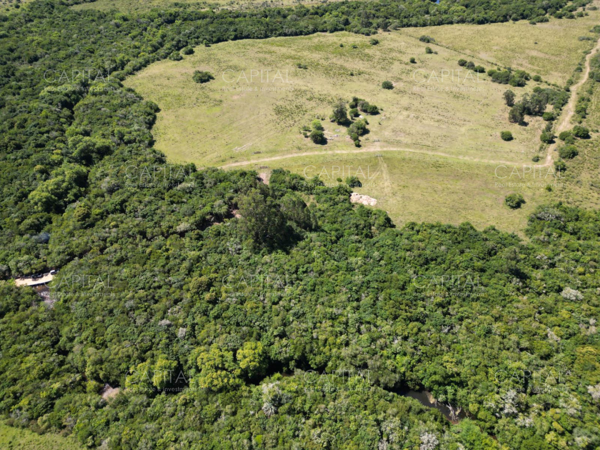 Chacra ID.39639 - Inversión estratégica :Excelente chacra con gran potencial turístico 11has  