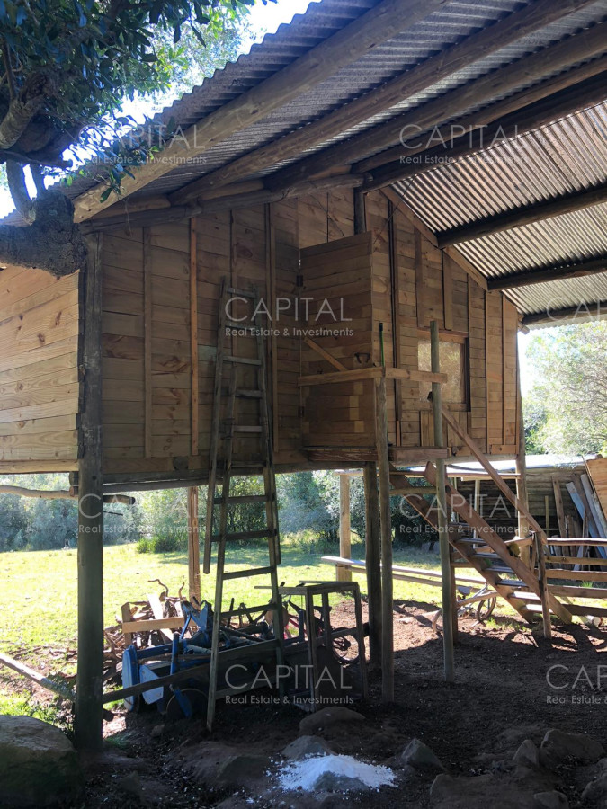 Chacra ID.31247 - Chacra en Ruta 39, en venta