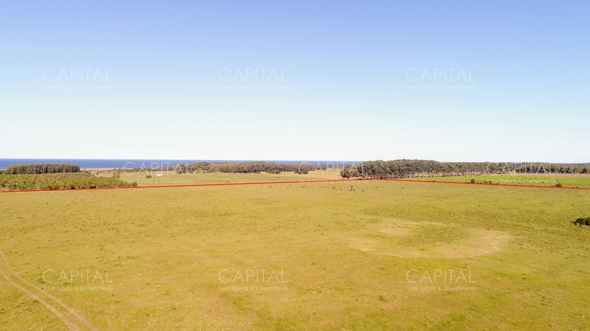 Chacra ID.29940 - Chacra en El Caracol - Garzon 108 Has, en venta