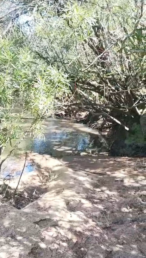 Chacra ID.38260 - Chacra de 10 has en Ruta 39 a min. de San Carlos 