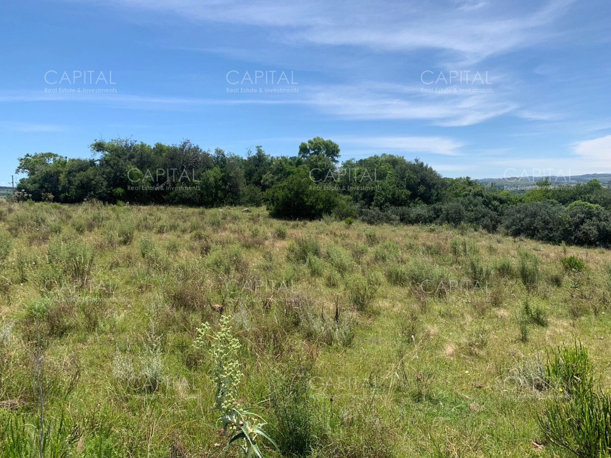 Chacra ID.37346 - Chacra 5 has Pueblo Edén 