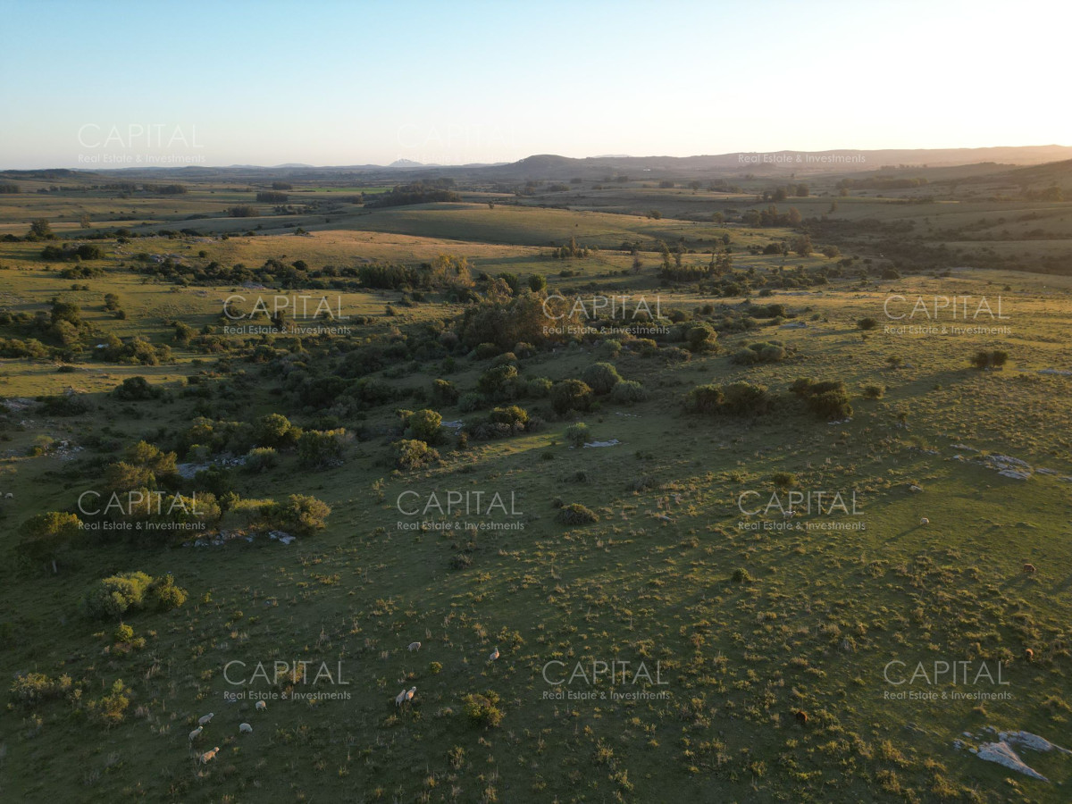 Chacra ID.38319 - Espectacular chacra de 17,5 has -Sierra de los Caracoles - Zona Mataojo