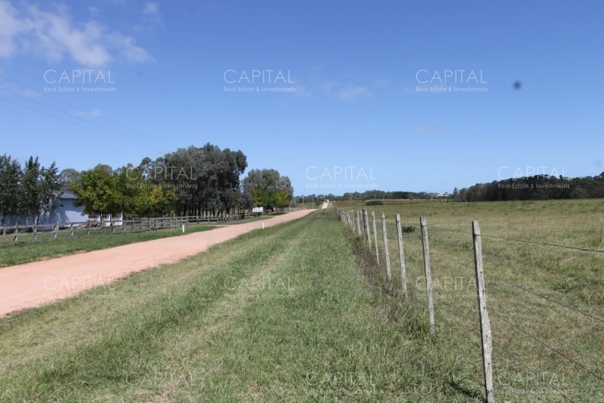 Chacra ID.36637 - Excepcional Chacra 12 HAS en Narbona