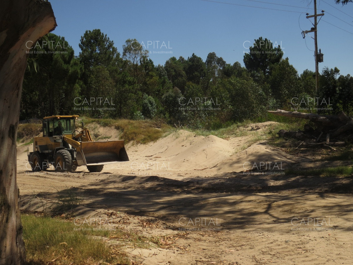 Chacra ID.29280 - Chacra con costa al Rio de La Plata