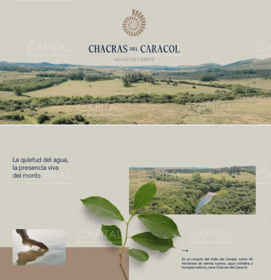 Chacra ID.38785 - Chacras de 3 has Sierra de los Caracoles 