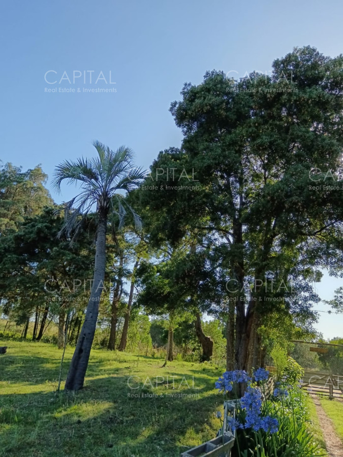 Chacra ID.37396 - CHACRA de 2 HAS.  a 200m de ruta 9 