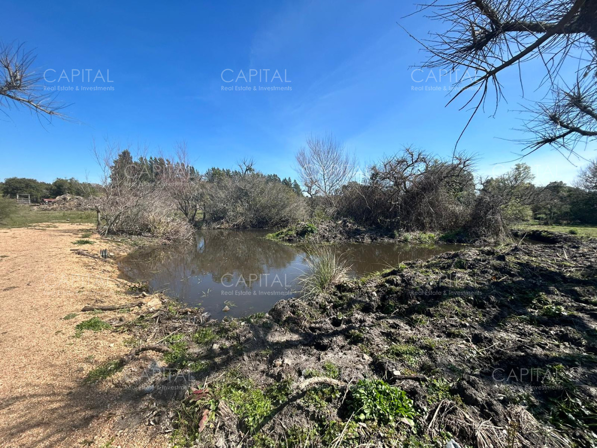 Chacra ID.35123 - Chacra con casa moderna en venta, Ruta 39. 
