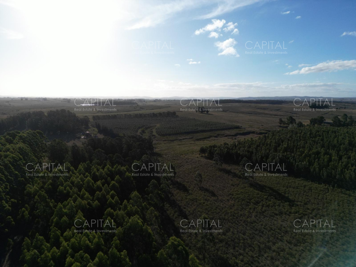 Chacra ID.39820 - Chacra de 31 has José Ignacio 