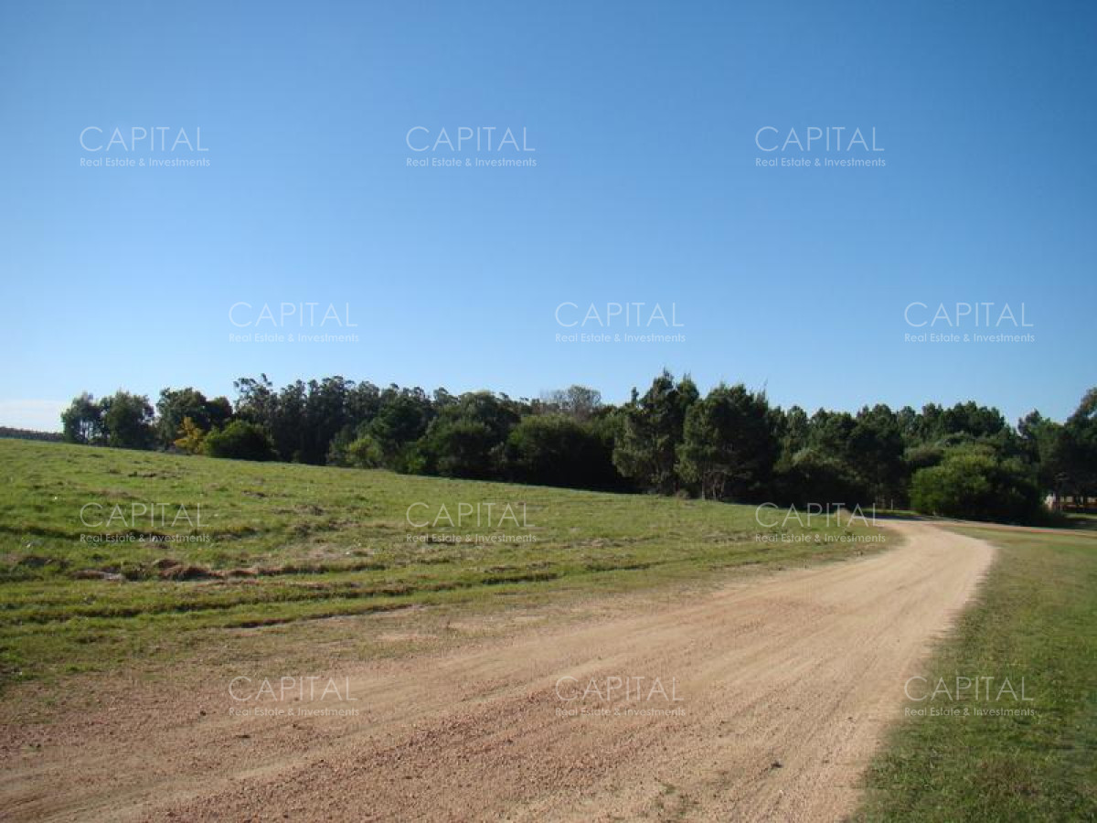 Chacra ID.29645 - Lote en Venta Ruta 104 Mangrullos de Punta Piedra