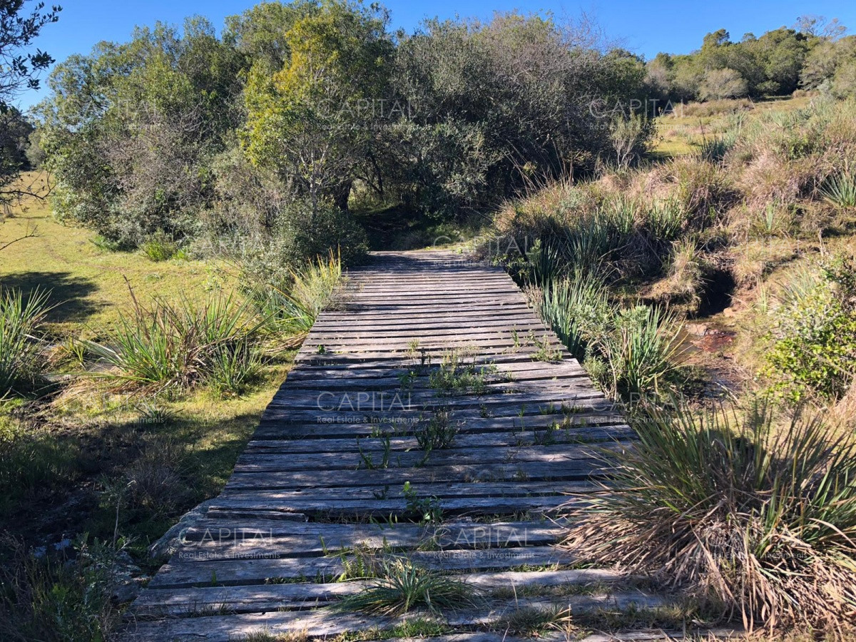 Chacra ID.31247 - Chacra en Ruta 39, en venta