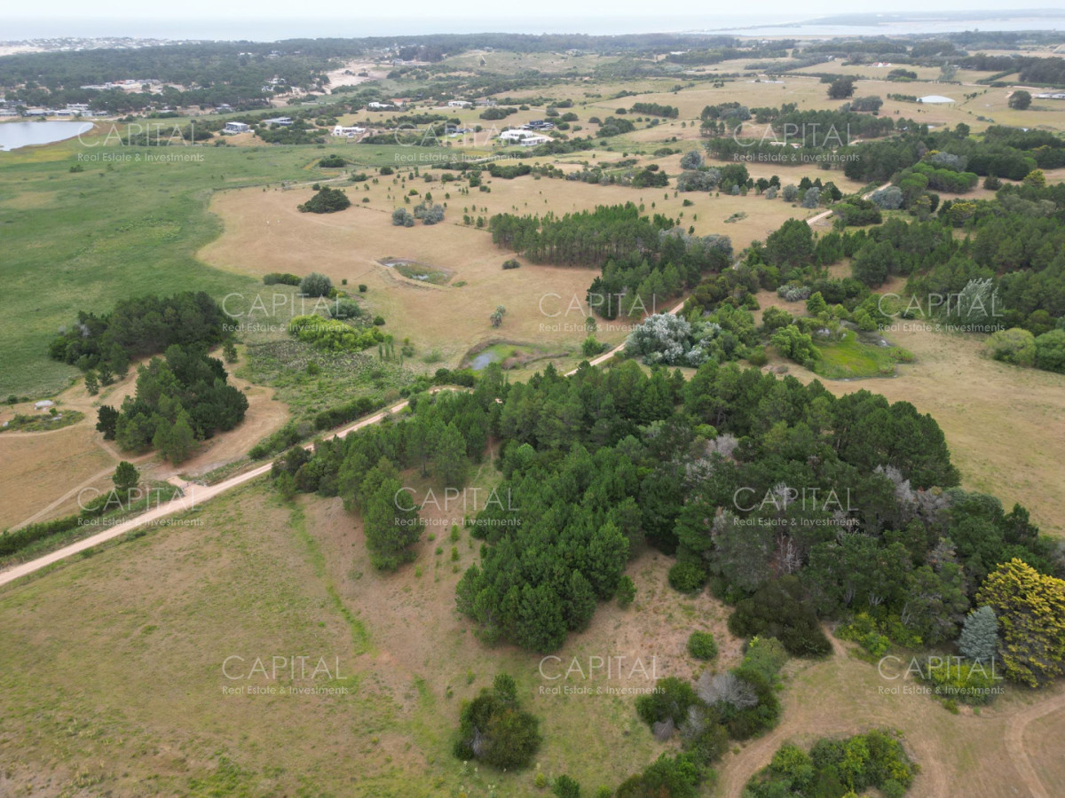 Chacra ID.39061 - Chacra de 5 Hectáreas, Las Portuguesas-José Ignacio 