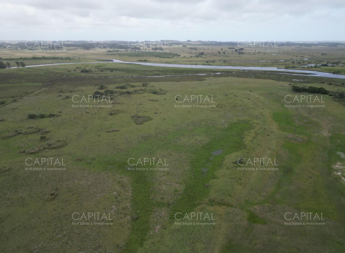 Chacra ID.39461 - Chacra de 41 has sobre ruta 39 