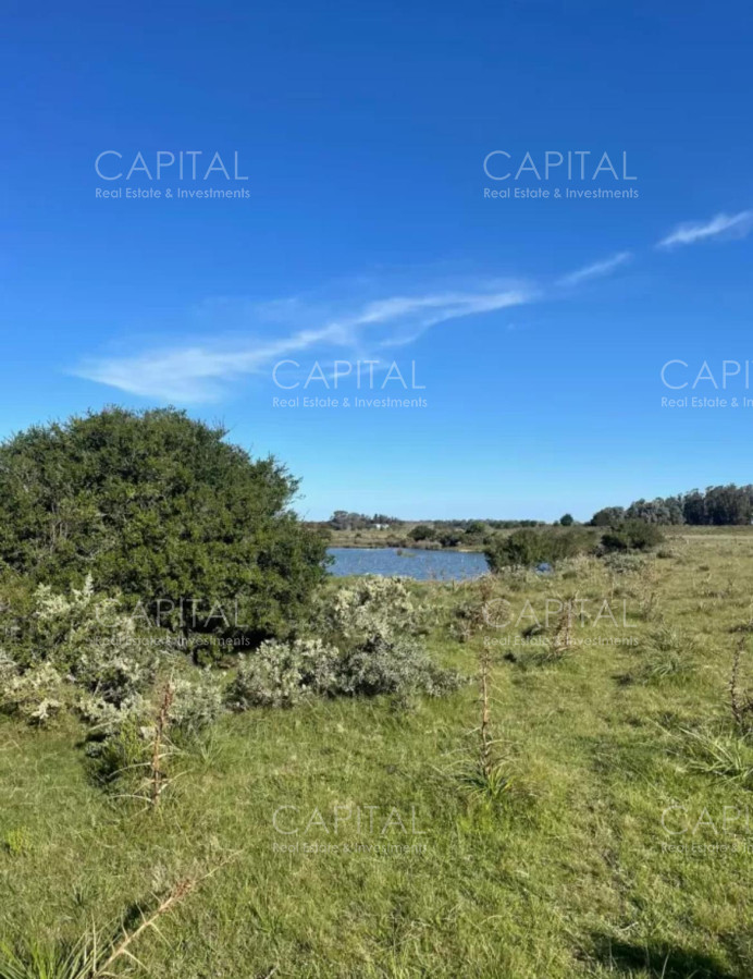 Chacra ID.34566 - Chacra en Venta en Jose Ignacio