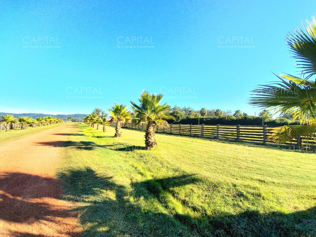 Chacra ID.32814 - Espectacular Chacra en Venta La Pataia