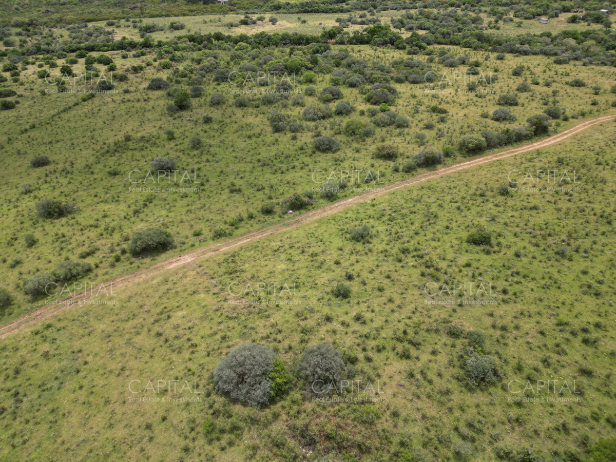 Chacra ID.37221 - Chacra en Pueblo Edén 8 has.