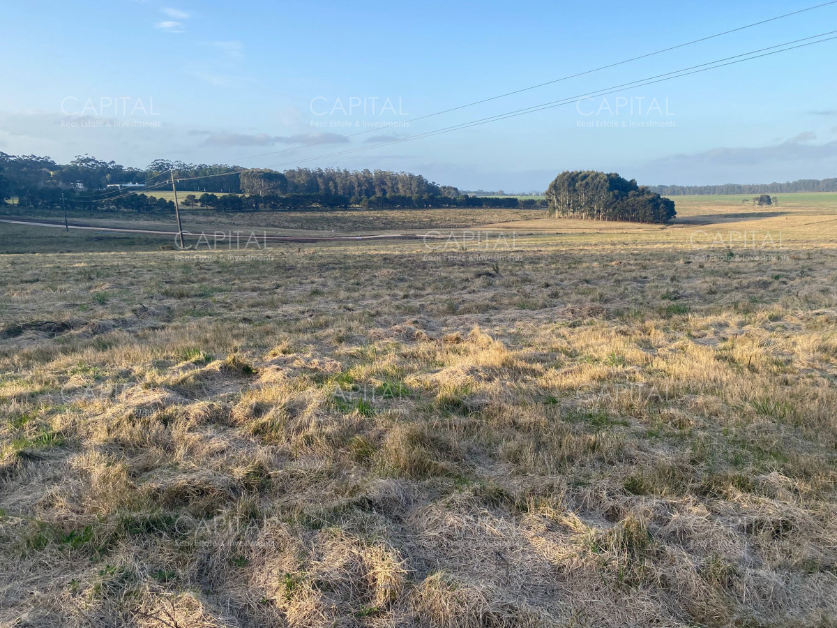 Chacra ID.38834 - Chacra de 5 has sobre ruta 104 próximo a MACA ,Pueblo Mío, NARBONA La Plantación