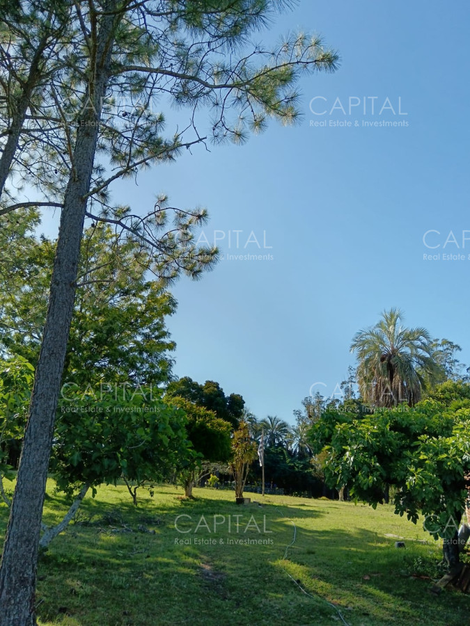 Chacra ID.37396 - CHACRA de 2 HAS.  a 200m de ruta 9 