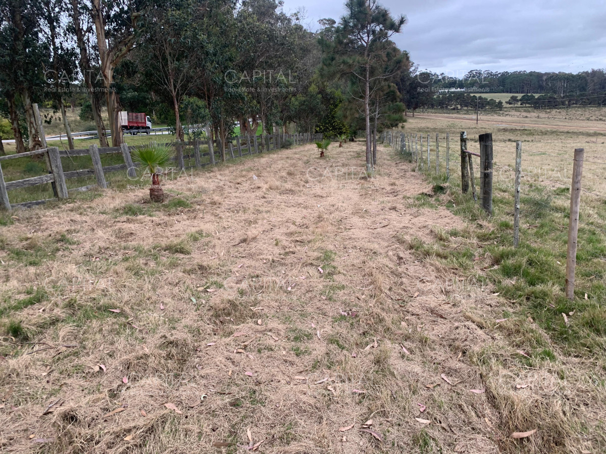 Chacra ID.38797 - Espectacular chacra 10 has sobre ruta 104 ,Pueblo Mío , MACA , NARBONA