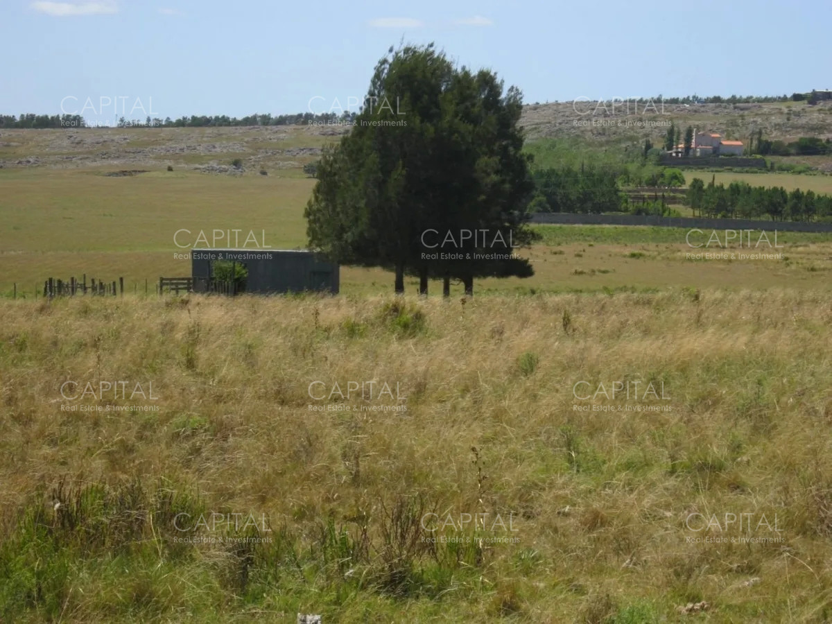 Chacra ID.37905 - Chacra de 15 has en excelente ubicación 