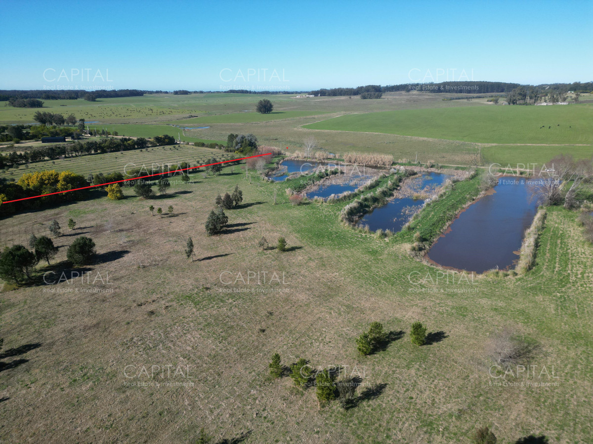 Chacra ID.38842 - Chacra de 10 has próxima a ruta 104 próximo a MACA ,Pueblo Mío, NARBONA La Plantación  