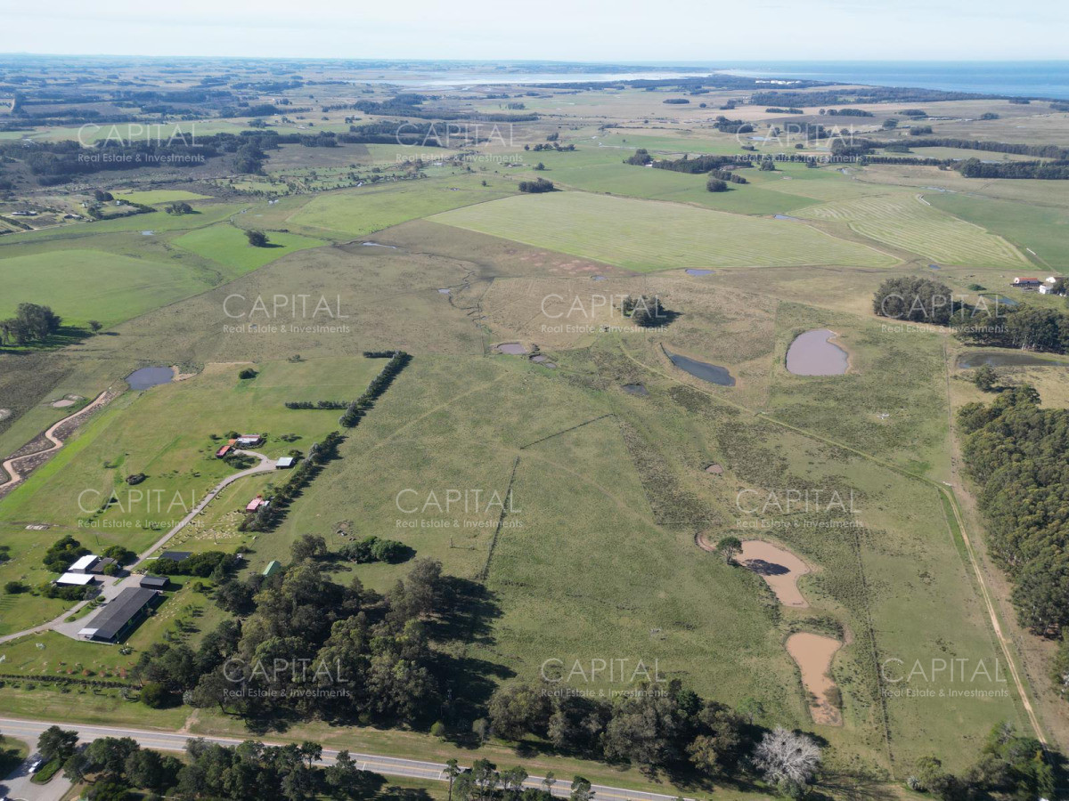 Chacra ID.35457 - Chacra Manantiales Ruta 104 43 hectareas en Venta Frente a MACA Atchugarry Pueblo Mio