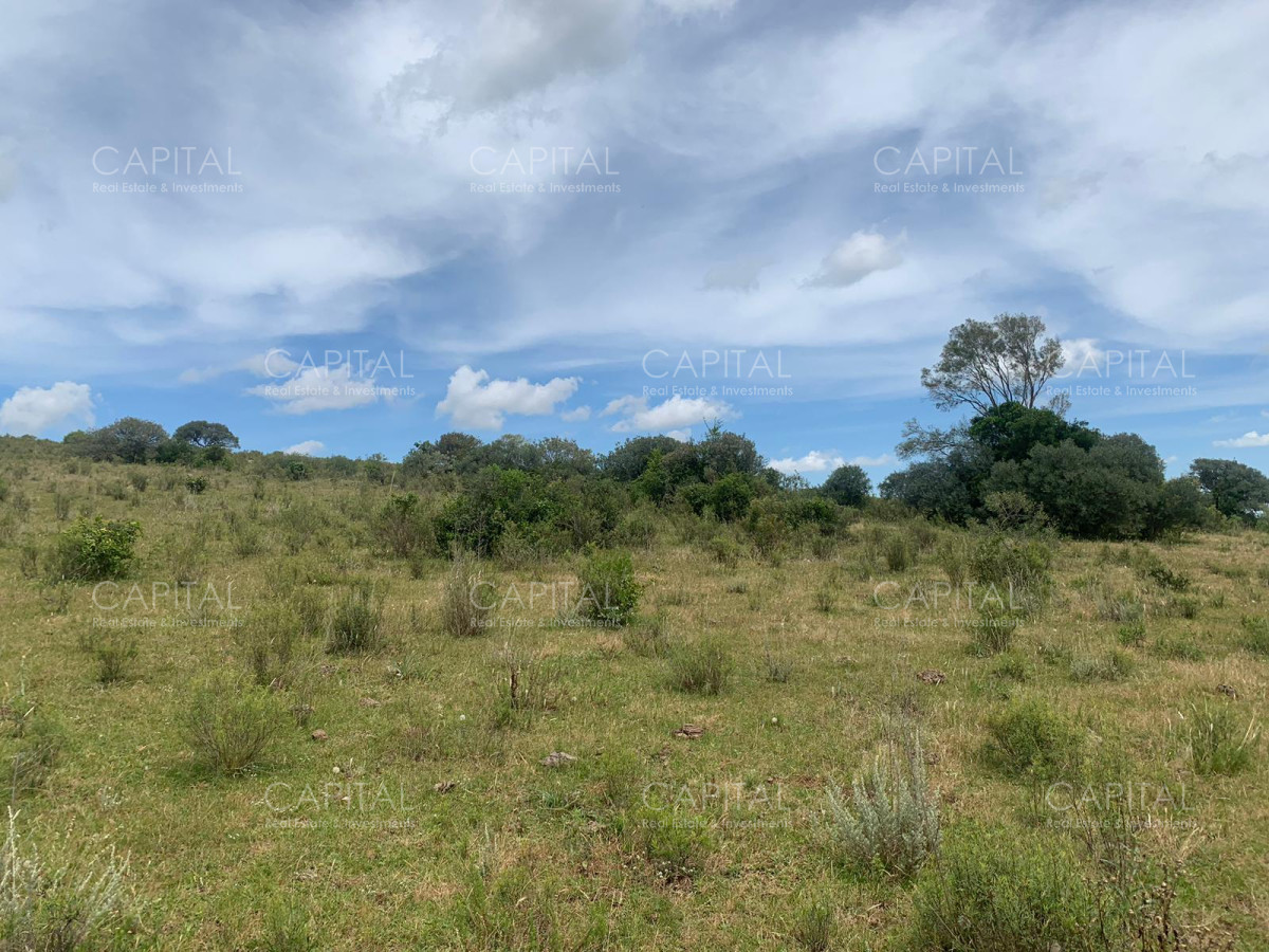 Chacra ID.37221 - Chacra en Pueblo Edén 8 has.