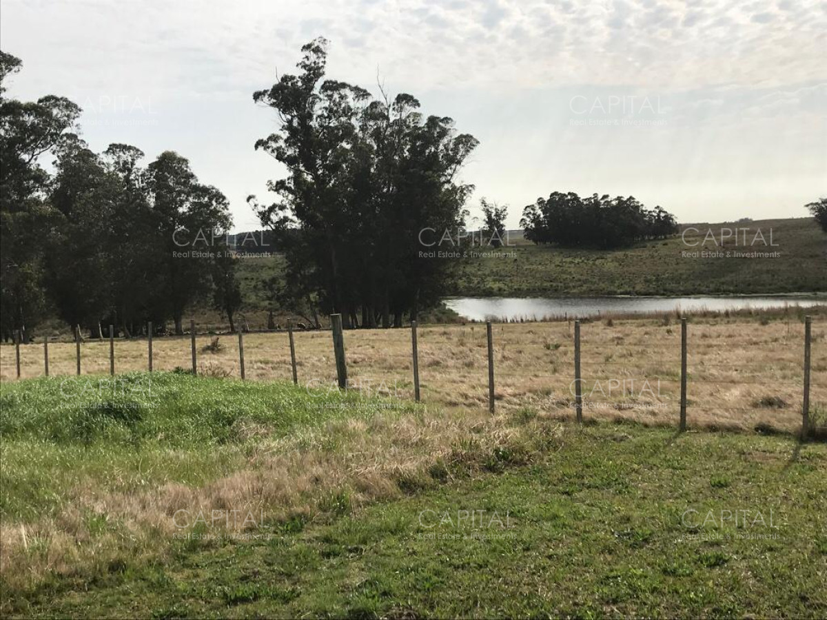 Chacra ID.30496 - Chacra en Venta a 18km de Jose Ignacio