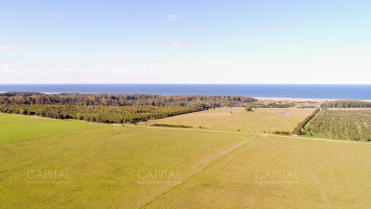 Chacra ID.29940 - Chacra en El Caracol - Garzon 108 Has, en venta