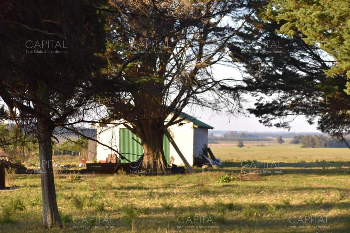 Chacra ID.35457 - Chacra Manantiales Ruta 104 43 hectareas en Venta Frente a MACA Atchugarry Pueblo Mio