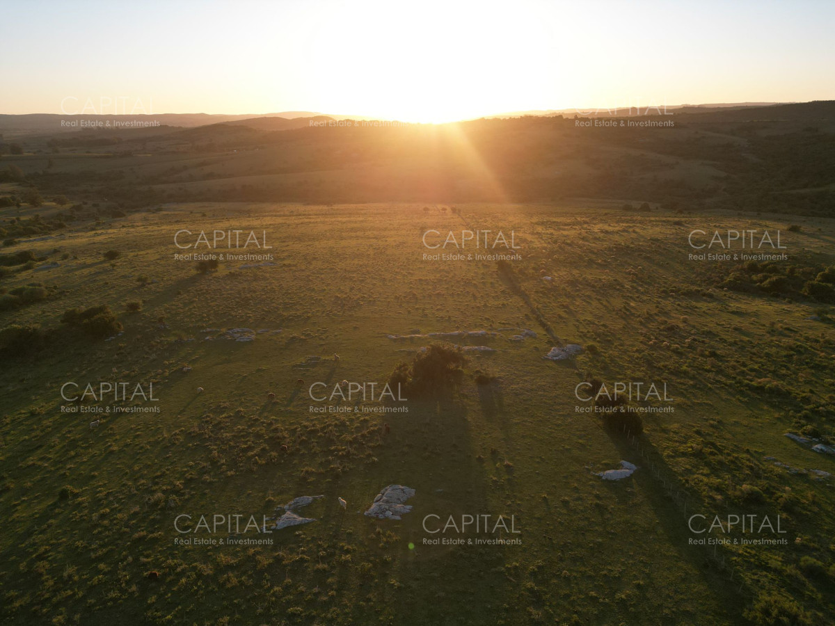 Chacra ID.38319 - Espectacular chacra de 17,5 has -Sierra de los Caracoles - Zona Mataojo