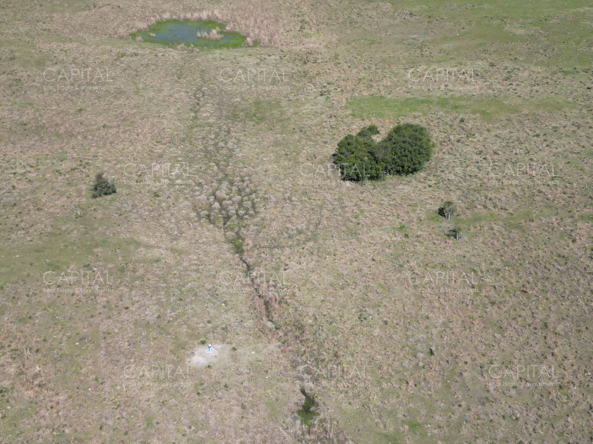 Chacra ID.38877 - Chacra de 10 has próxima a ruta 39 con arroyo 