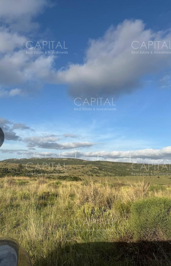 Chacra ID.38785 - Chacras de 3 has Sierra de los Caracoles 