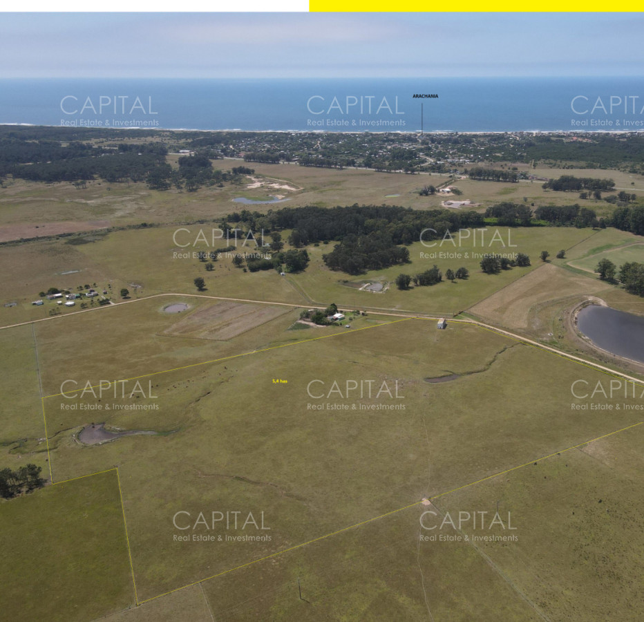 Chacra ID.39479 - Chacra de 5 has zona club de Polo - La Paloma 