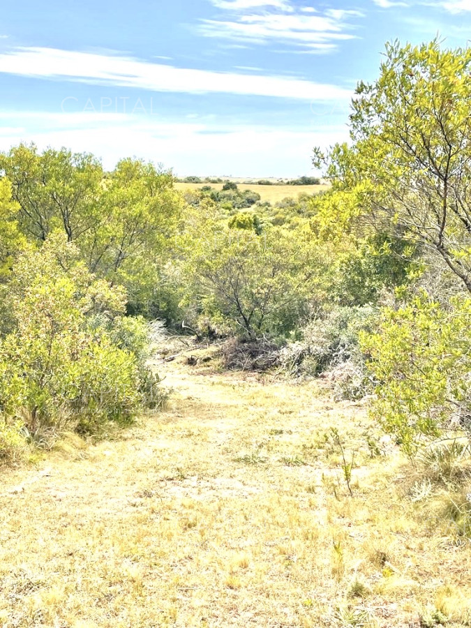 Chacra ID.37859 - Chacra en venta de 5 hectáreas 