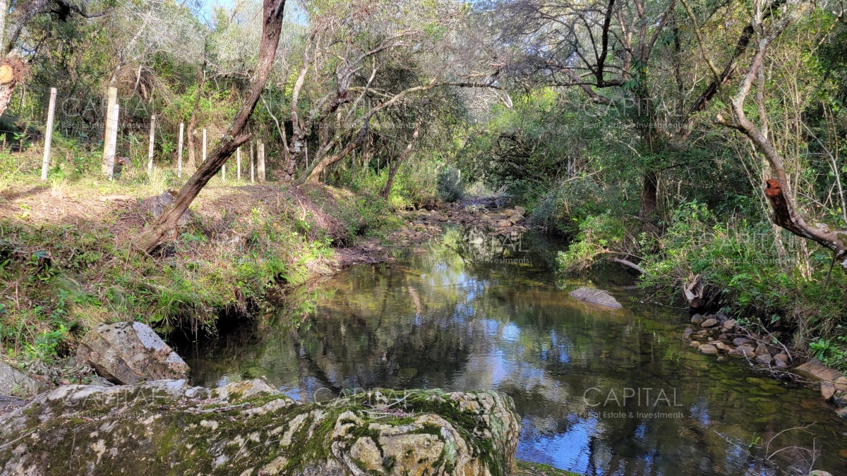 Chacra ID.35105 - Chacra en venta, Sierras de Maldonado - Uruguay