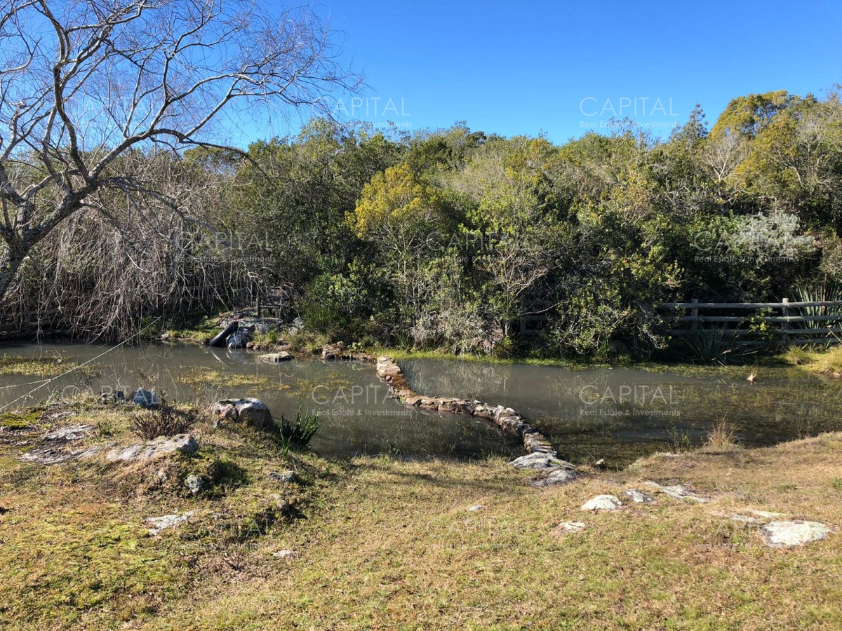 Chacra ID.31247 - Chacra en Ruta 39, en venta