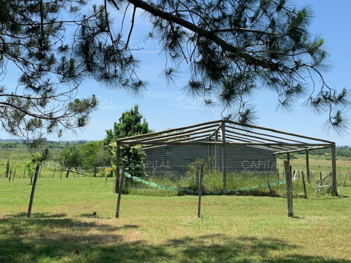 Chacra ID.28488 - Chacra con arroyo de casi 19 hectáreas disponible en Venta