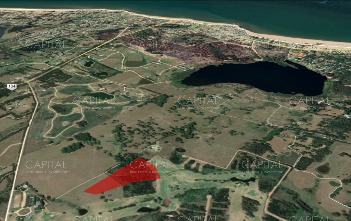 Chacra ID.29037 - Chacra de más de 5 hectáreas en Ruta 104