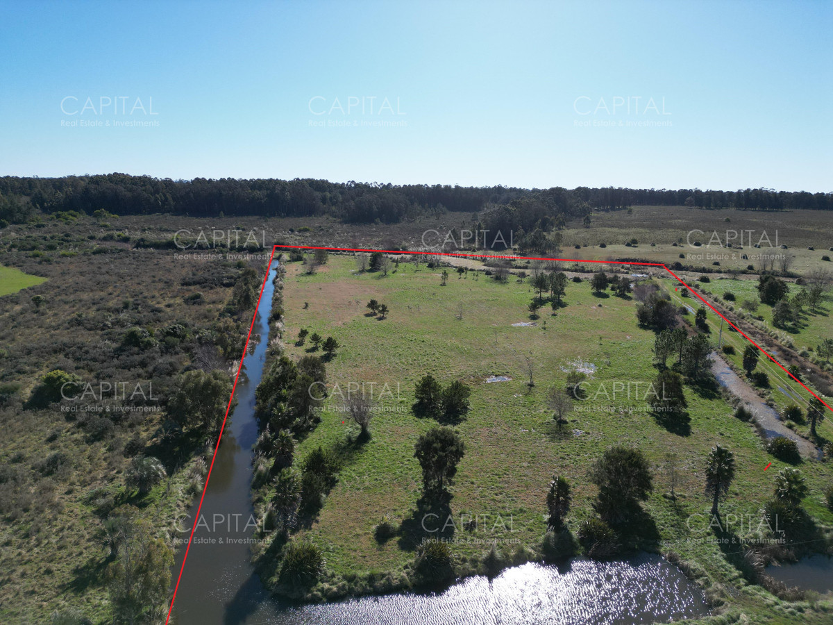 Chacra ID.38847 - Chacra de 5 has a metros de 104 próximo a Pueblo Mío, NARBONA La Plantación